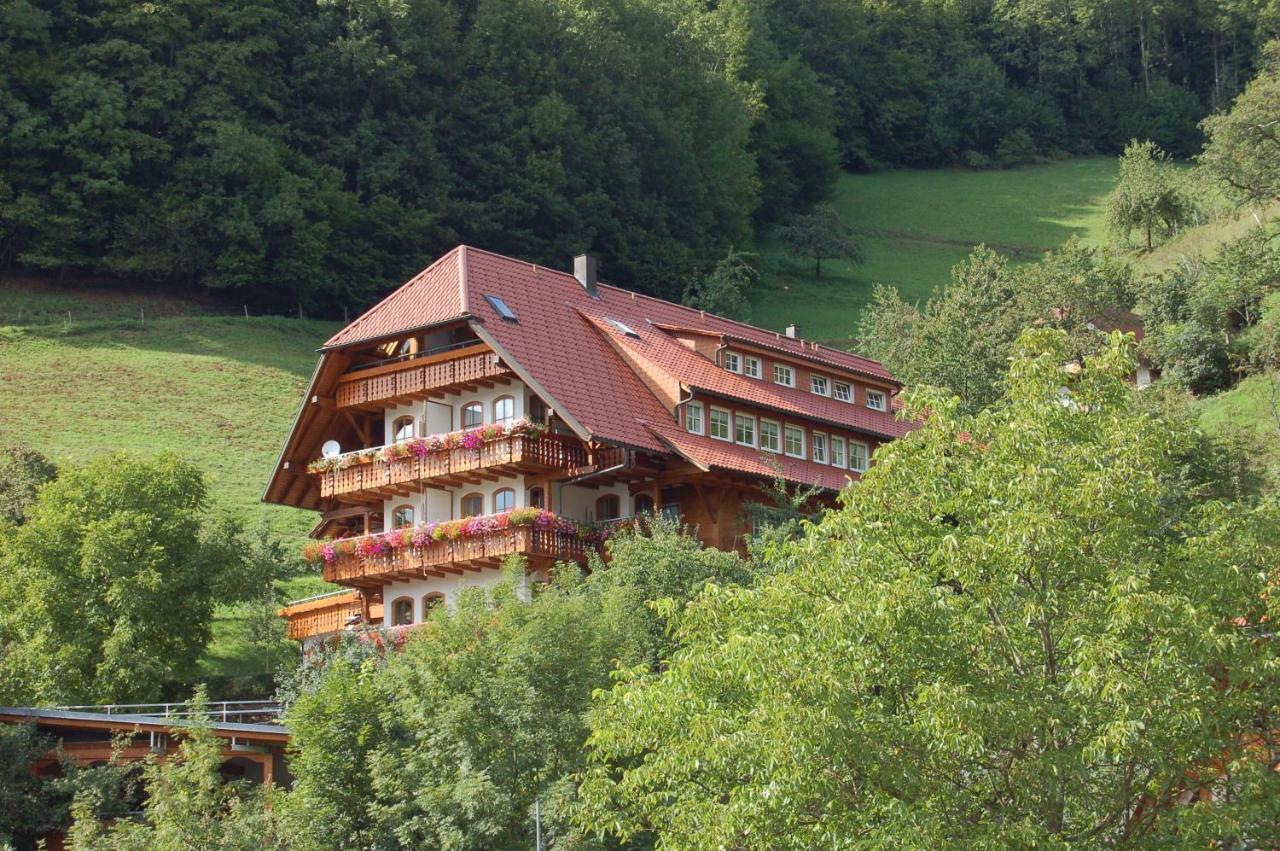 Ehrenmaettlehof Faisst Aparthotel Bad Peterstal-Griesbach Exterior foto