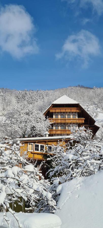 Ehrenmaettlehof Faisst Aparthotel Bad Peterstal-Griesbach Exterior foto