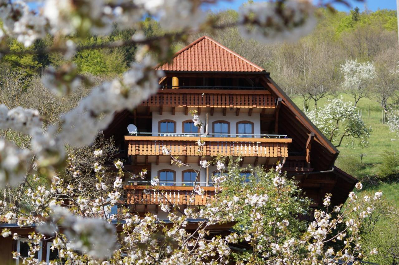 Ehrenmattlehof Faisst Aparthotel Bad Peterstal-Griesbach Exterior foto