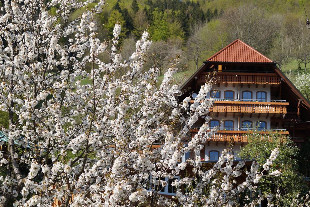 Ehrenmaettlehof Faisst Aparthotel Bad Peterstal-Griesbach Cameră foto