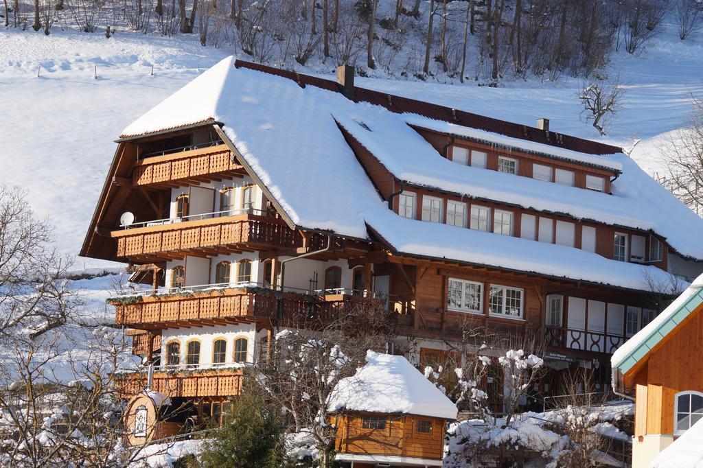 Ehrenmattlehof Faisst Aparthotel Bad Peterstal-Griesbach Exterior foto