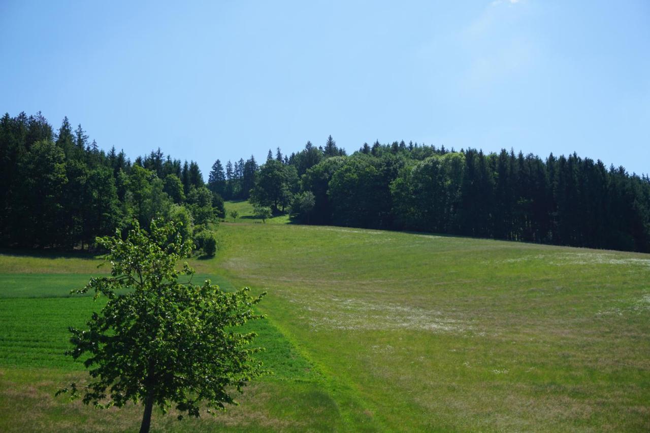 Ehrenmaettlehof Faisst Aparthotel Bad Peterstal-Griesbach Exterior foto