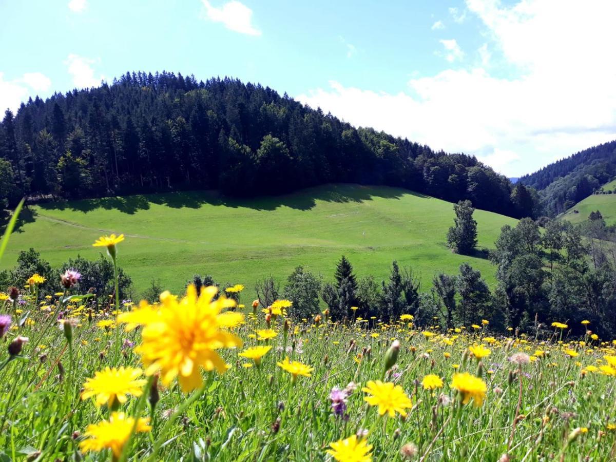 Ehrenmaettlehof Faisst Aparthotel Bad Peterstal-Griesbach Exterior foto